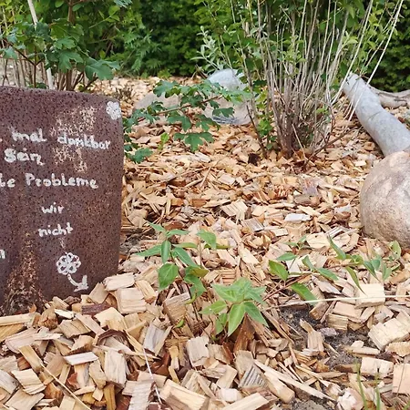 2-4 Personen Hund Willkommen By Interhome Apartamento Lutow