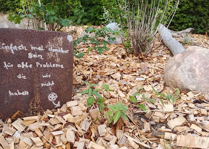 2-4 Personen Hund Willkommen By Interhome Apartamento Lutow